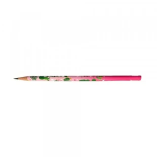 Grafitna olovka Faber Castell Cactus 2B  57000