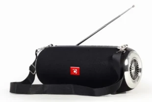 SPK-BT-17 Gembird Portable Bluetooth speaker +handsfree 2x5W, FM, USB, SD, AUX + antena black