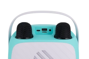 VIVAX VOX BT karaoke BS-20 Duo Green