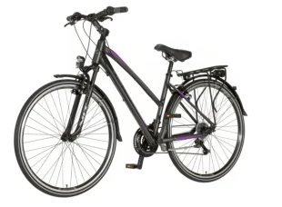 Bicikla Visitor tour Terra Lady 28/amortizer 19 V-BRAKE/18 brzina/sivo-ljubičasti