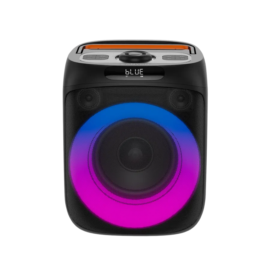 CANYON Portable Party Speaker OnFun 6 RGB Black Slika 1