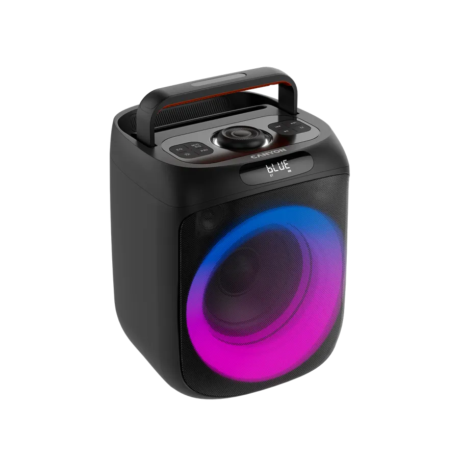 CANYON Portable Party Speaker OnFun 6 RGB Black Slika 3