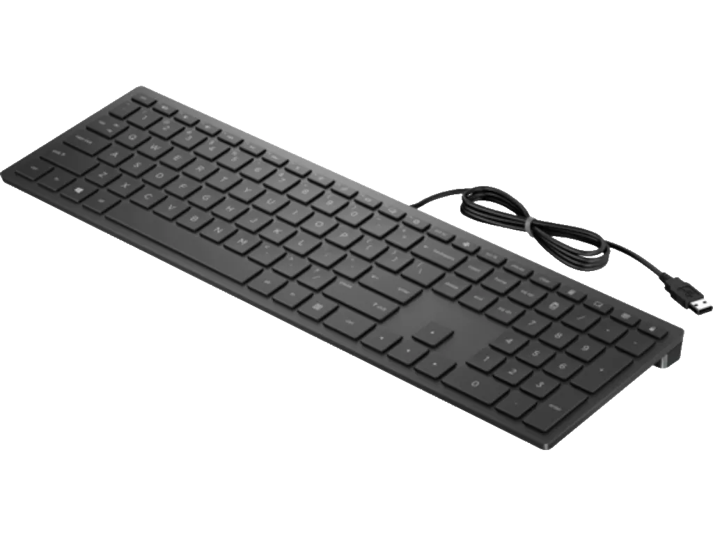 HP PSG Tastatura HP Pavilion 300/žicna/4CE96AA/SRB/crna Slika 1