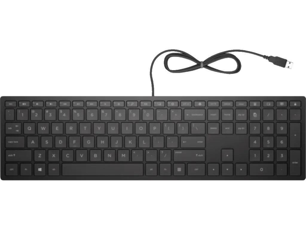HP PSG Tastatura HP Pavilion 300/žicna/4CE96AA/SRB/crna Slika 2