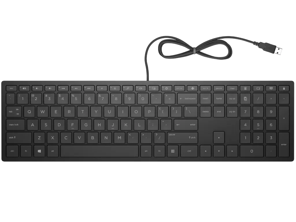 HP PSG Tastatura HP Pavilion 300/žicna/4CE96AA/crna Slika 1