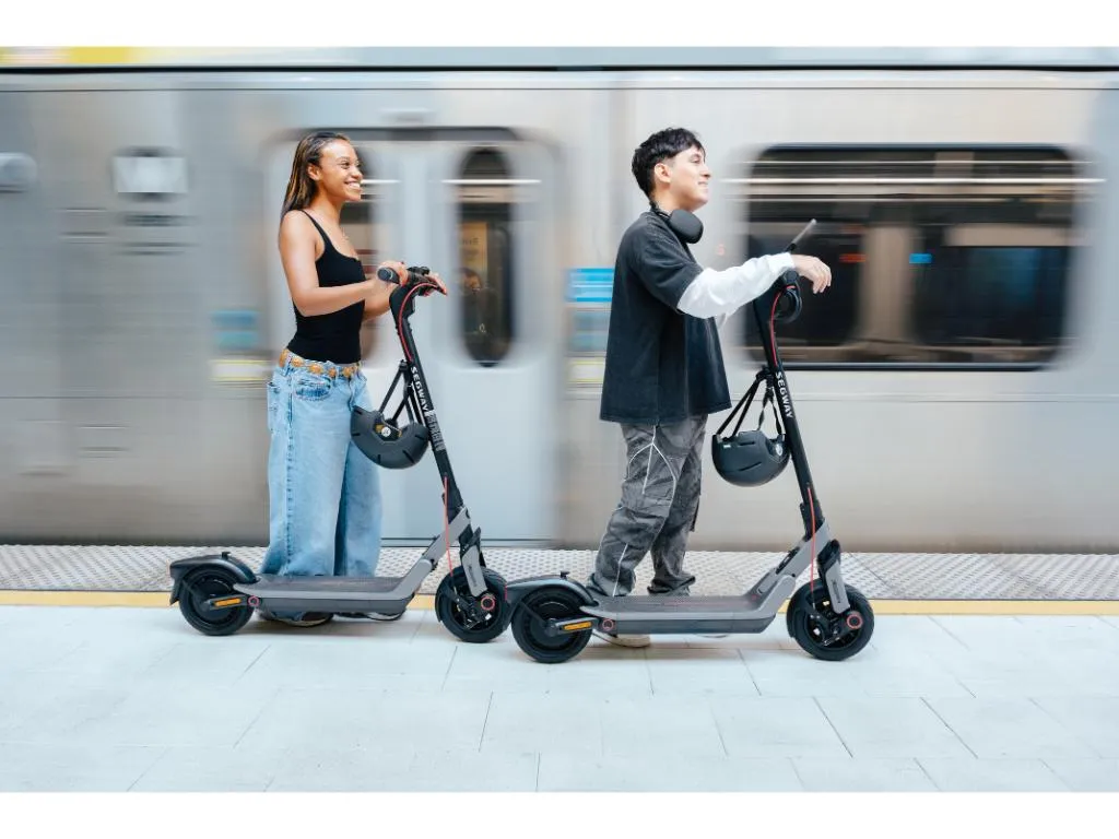 Elektricni Trotinet SEGWAY NINEBOT E3 E Silver Slika 6