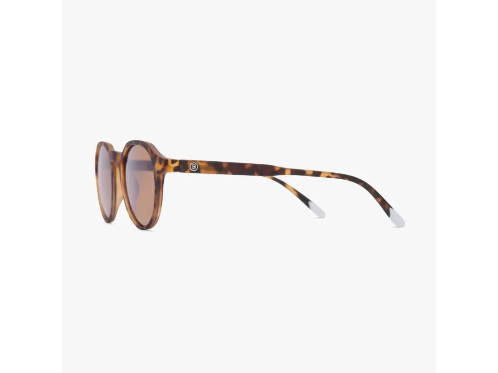 Suncane naocare BARNER Chamberi/Tortoise Slika 4