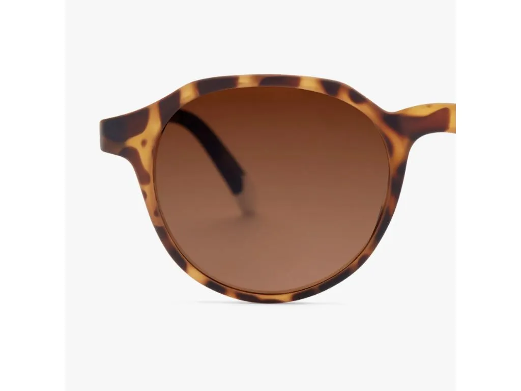 Suncane naocare BARNER Chamberi/Tortoise Slika 2