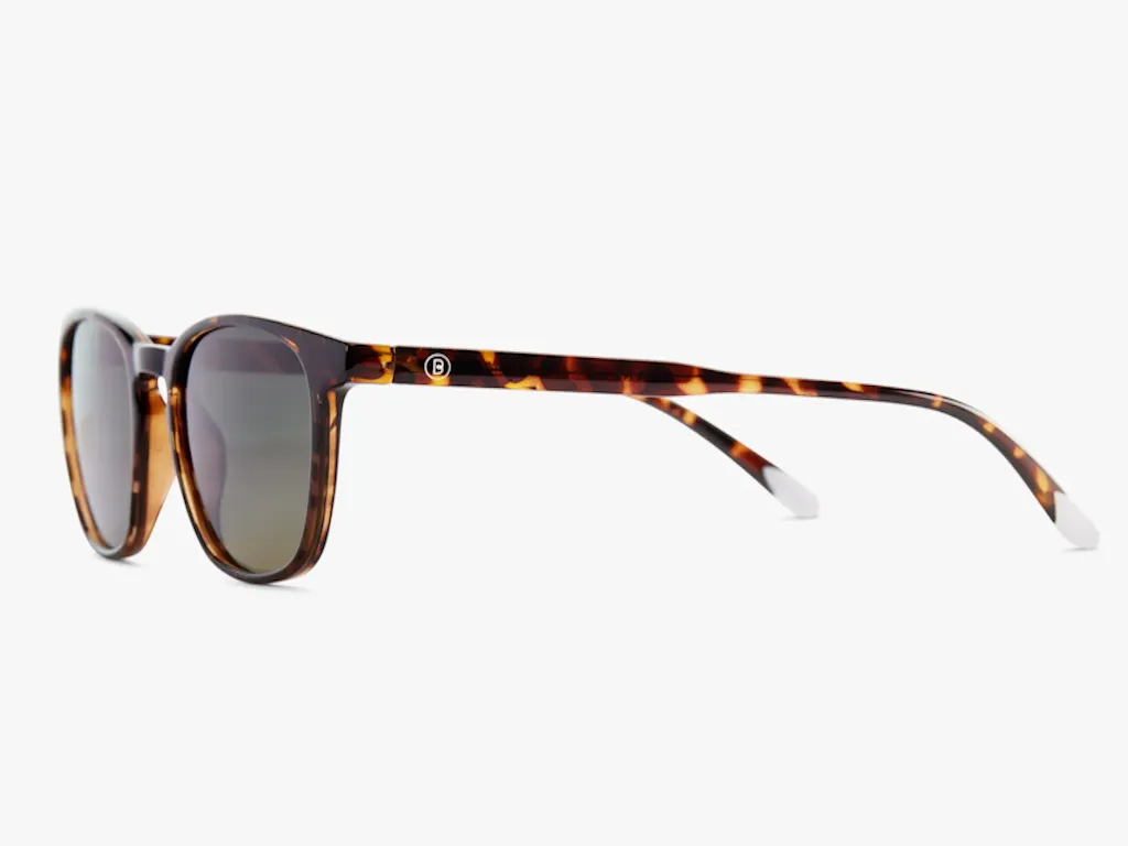 Suncane naocare BARNER Dalston/Glossy Tortoise Slika 2