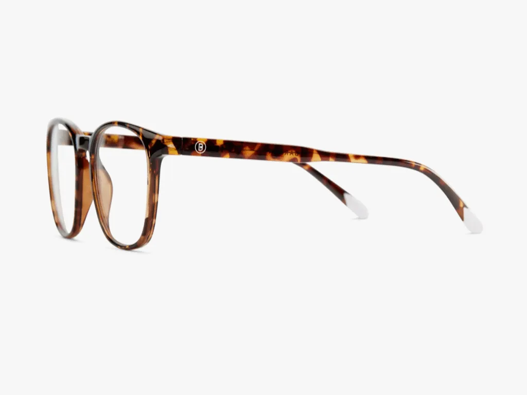Barner Zaštitne naocare BARNER Dalston/Glossy Tortoise Slika 2