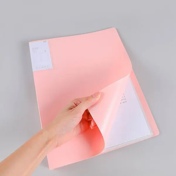 Dmrk Fascikla A4 20 folija Morandi XH1320 Slika 2