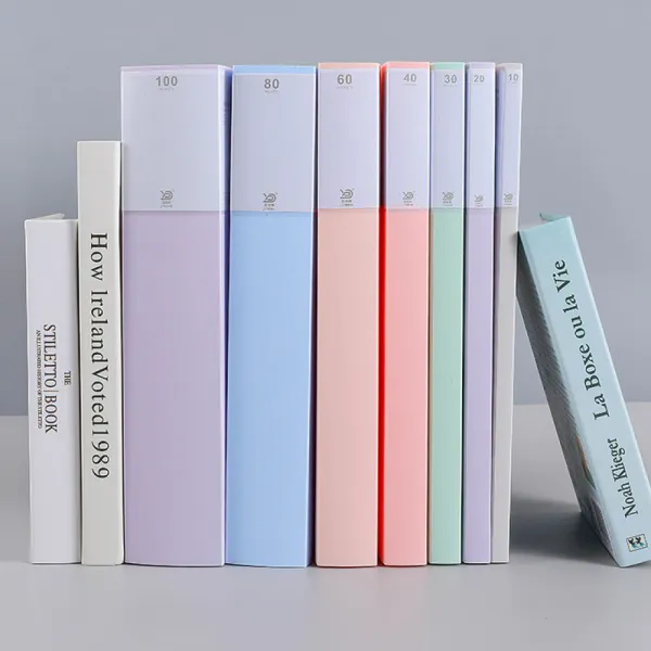 Dmrk Fascikla A4 20 folija Morandi XH1320 Slika 3