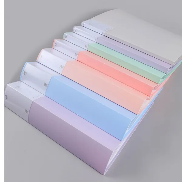 Dmrk Fascikla A4 20 folija Morandi XH1320 Slika 4