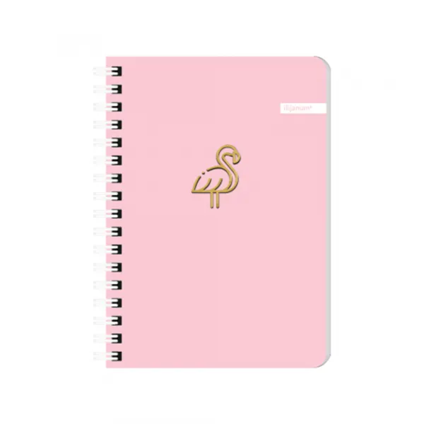 Ilijanum Sveska A6 Soft  spirala dikto 60l Slika 4