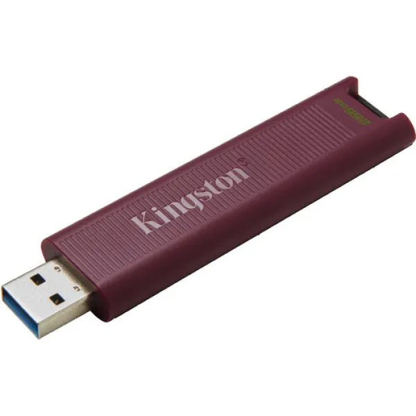 USB Flash Kingston 256GB DataTraveler USB3.2, DTMAXA/256GB Slika 1