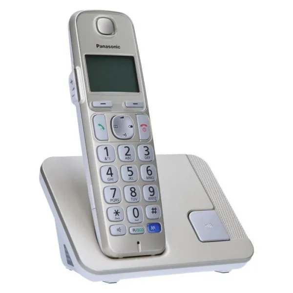 Telefoni Fiksni bezicni PANASONIC KX-TGE210FXN Slika 1