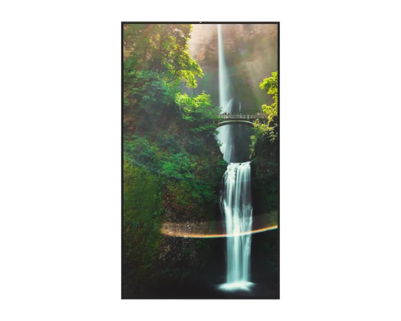 HISENSE 55 inča 55WH80F 4K UHD 4000 nita Window Facing - High Brightness Display Slika 2