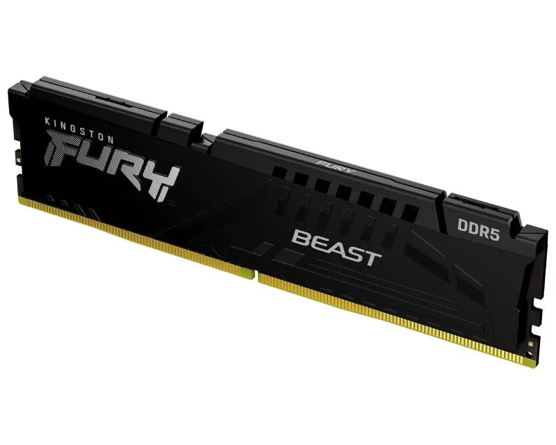 KINGSTON DIMM DDR5 32GB 6000MT/s KF560C36BBE-32 FURY Beast EXPO Slika 2