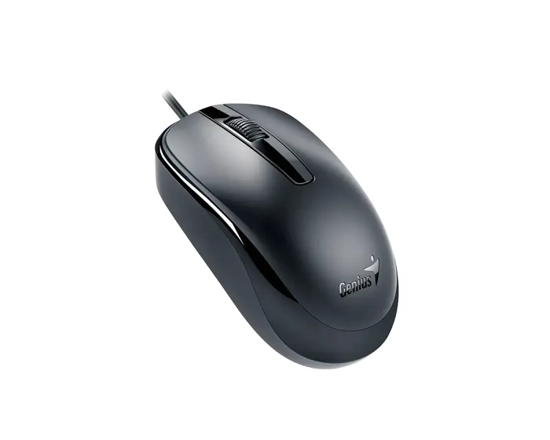 GENIUS DX-120 USB-C Optical crni miš Slika 1