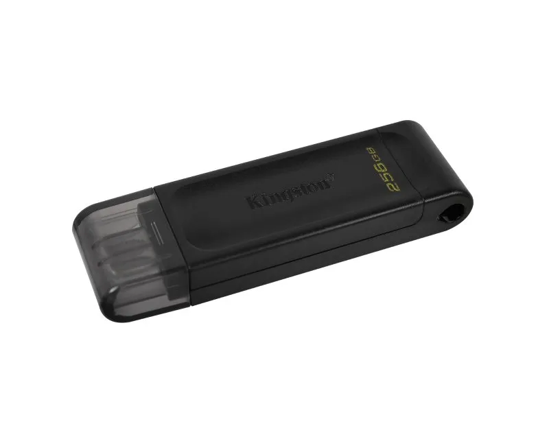 KINGSTON 256GB DataTraveler USB-C flash DT70/256GB Slika 1
