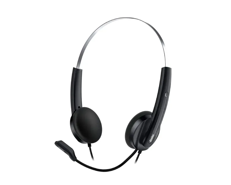 GENIUS HS-220U USB-C slušalice sa mikrofonom  Slika 3