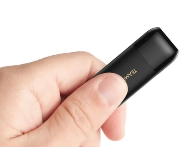 TEAM GROUP TeamGroup 256GB C175 USB 3.2 BLACK TC1753256GB01 Slika 1