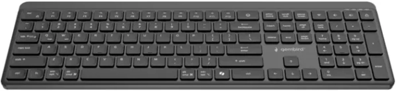 KB-WPS-03 Gembird Bluetooth + 2.4 GHz Bezicni mis + tastatura US layout black Slika 3