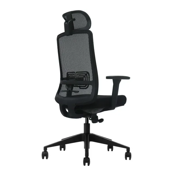 Ergonomska kancelarijska stolica UGD LumbarMax Slika 3
