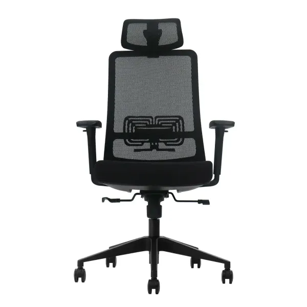 Ergonomska kancelarijska stolica UGD LumbarMax Slika 1