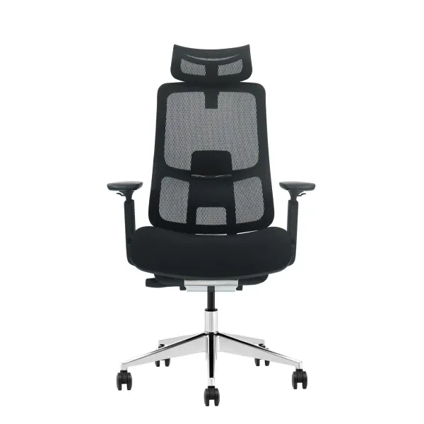 Ergonomska kancelarijska stolica UGD Prestige Plus Slika 1