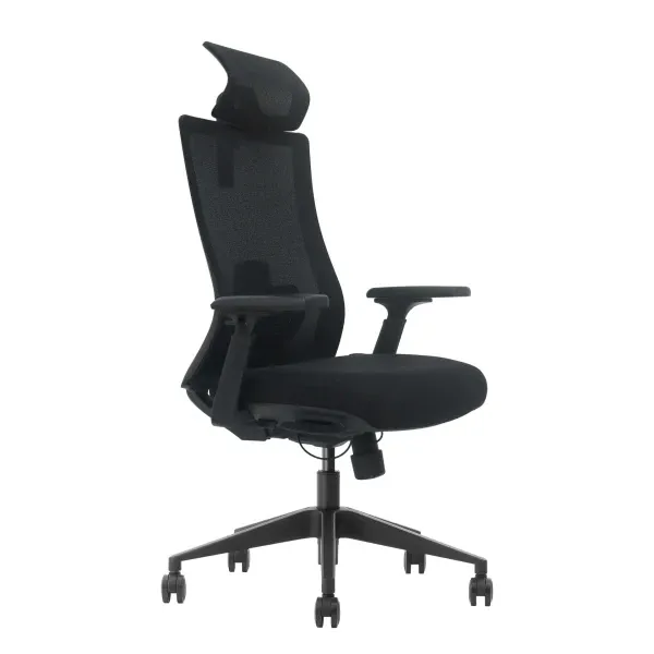 Ergonomska kancelarijska stolica UGD Work Pro Slika 2