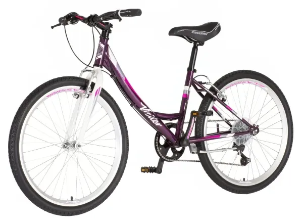Bicikla Visitor Junior Fox 24/19 V-BRAKE/6 brzina/ljubičasta Slika 1