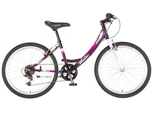 Bicikla Visitor Junior Fox 24/19 V-BRAKE/6 brzina/ljubičasta Slika 3