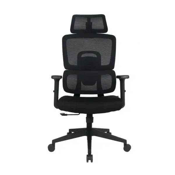 Ergonomska kancelarijska stolica UGD Omni Slika 1