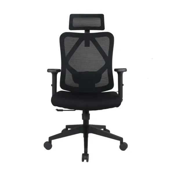 Ergonomska kancelarijska stolica UGD Vertex Slika 1